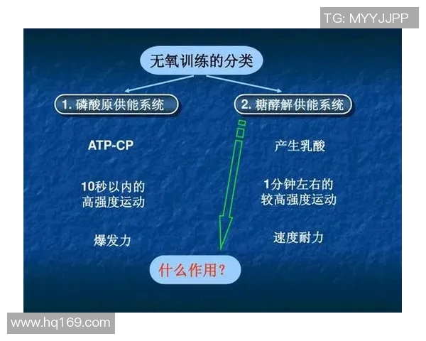 成都羽毛球队选拔赛战术分析与表现评估的深度解读