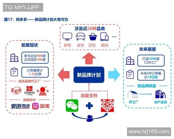 深圳极限运动队的成功运营模式与发展趋势分析